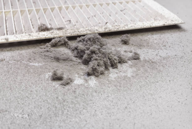 Best Residential Air Duct Cleaning  in Belgrade, MT