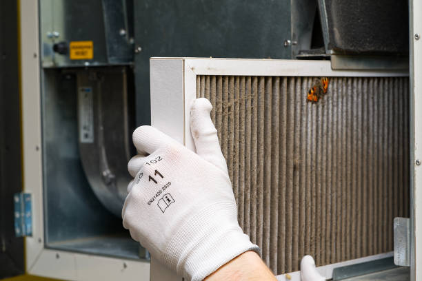 Best Professional Duct Cleaning Services  in Belgrade, MT