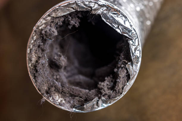 Best HVAC Duct Inspection Services  in Belgrade, MT